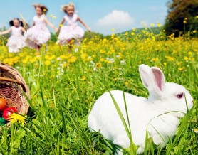 48119_460647407338683_1527917947_n 48119_460647407338683_1527917947_n