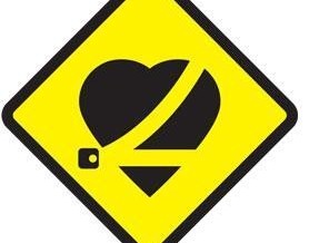 Día Mundial del Uso del cinturón de seguridad