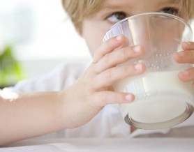 DÍA MUNDIAL DE LA LECHE